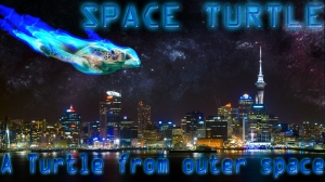 Space turtle